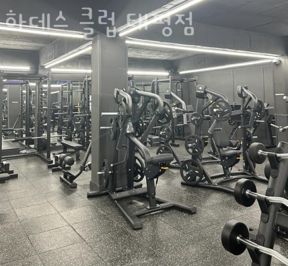 하데스클럽 이미지