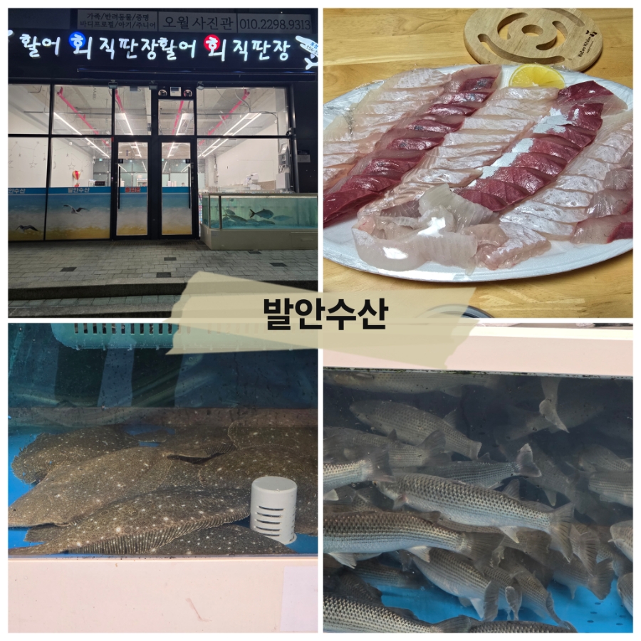 발안수산 이미지