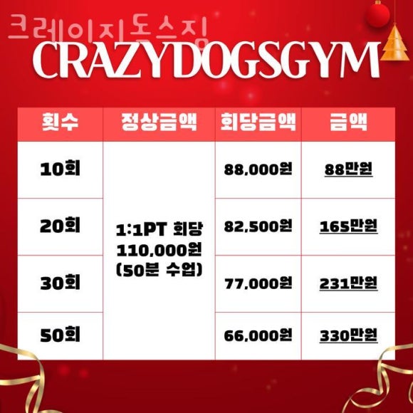 크레이지독스짐 이미지