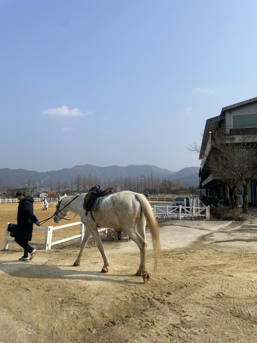 그랑프리승마파크 이미지