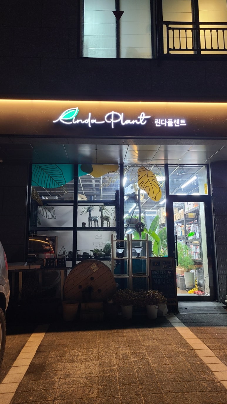 린다플랜트 이미지
