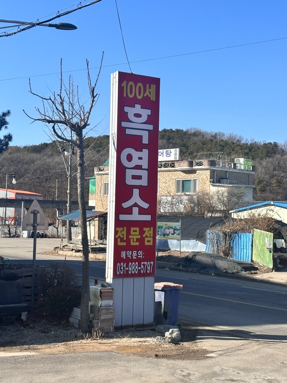 100세흑염소 이미지