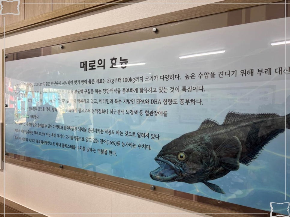 메로 이미지
