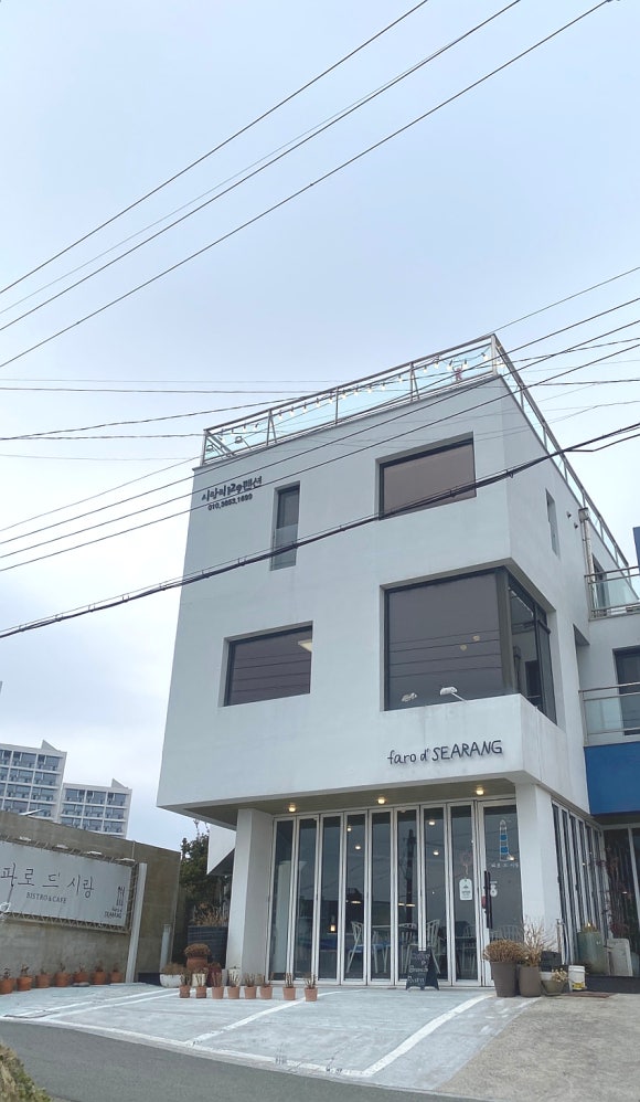 파로드시랑 이미지
