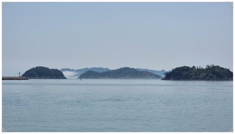 더좋은제주 이미지