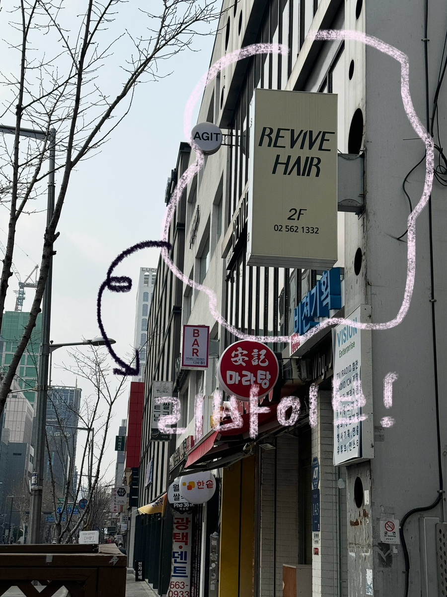 리바이브헤어 이미지