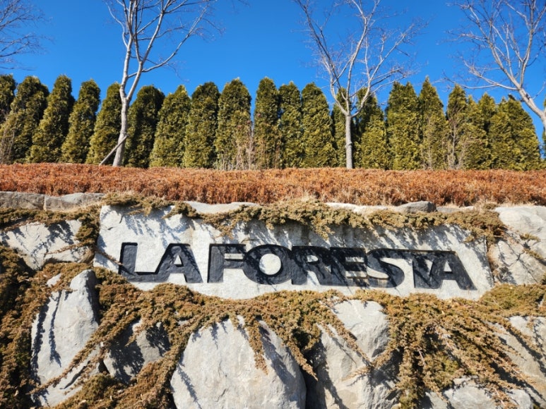 LAFORESTA(라포레스타) 이미지