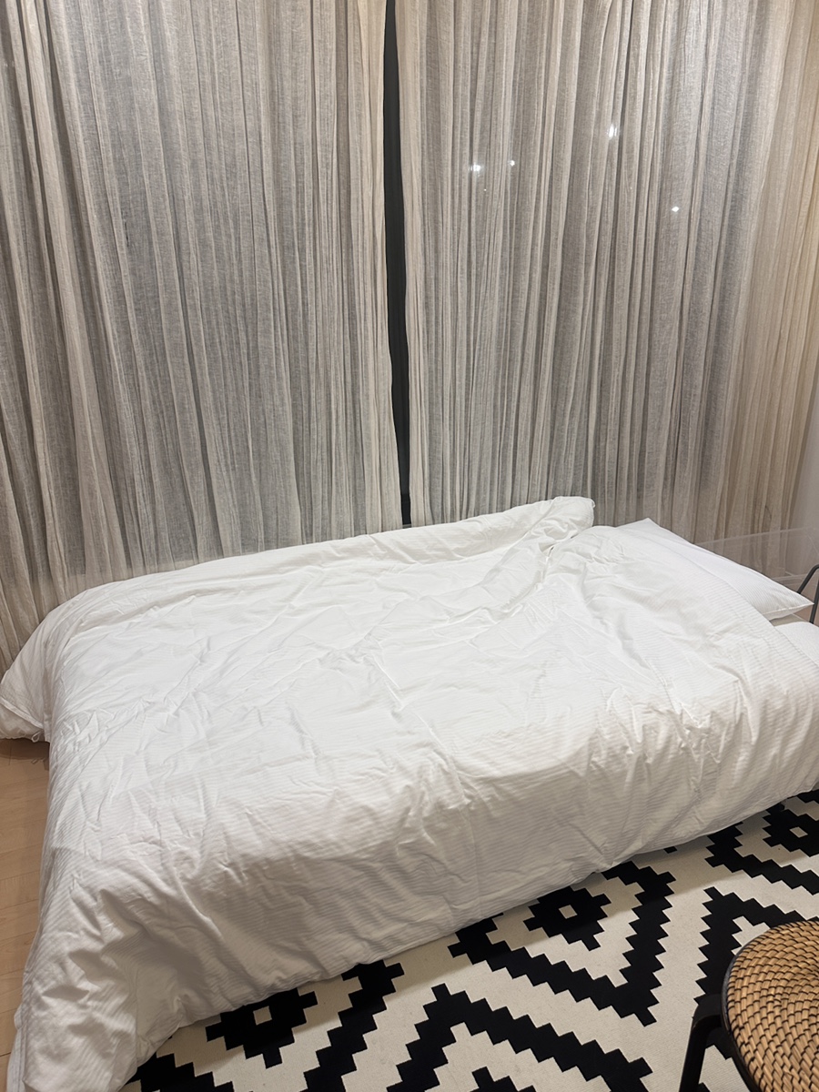 일로스탠다드 이미지