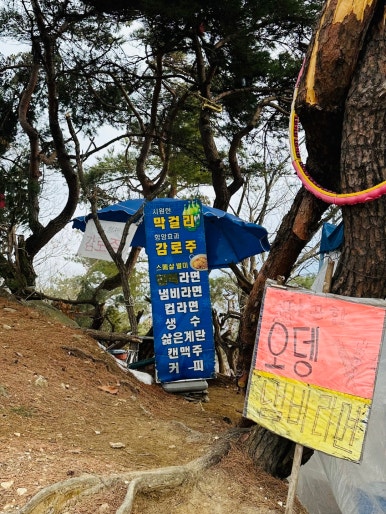 형제봉 정상 전망 이미지