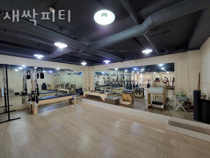 새싹피티 이미지