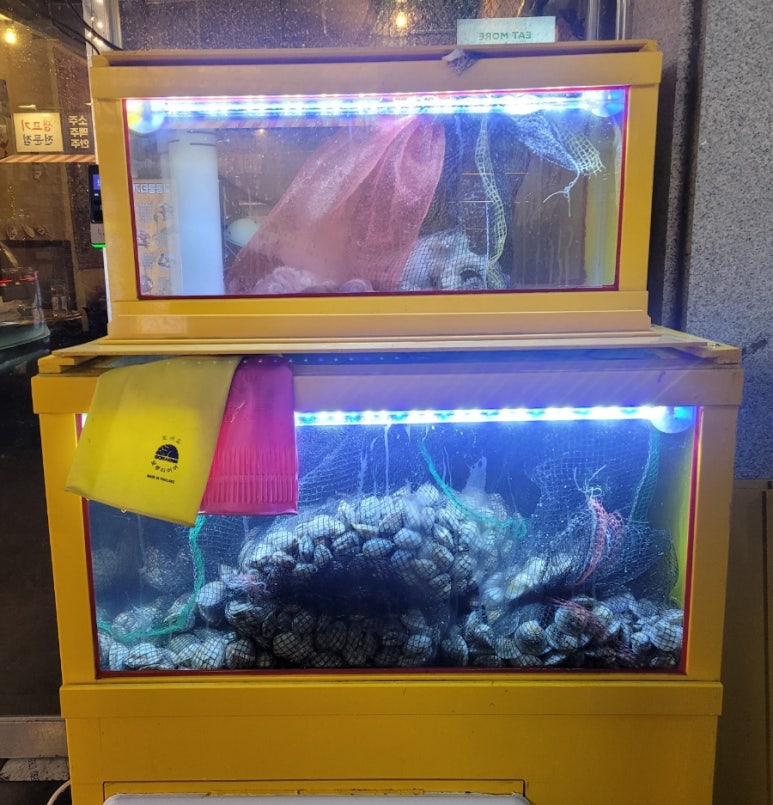 교동조개오빠 이미지