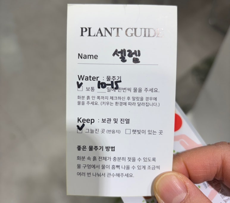 오브무드플라워 이미지