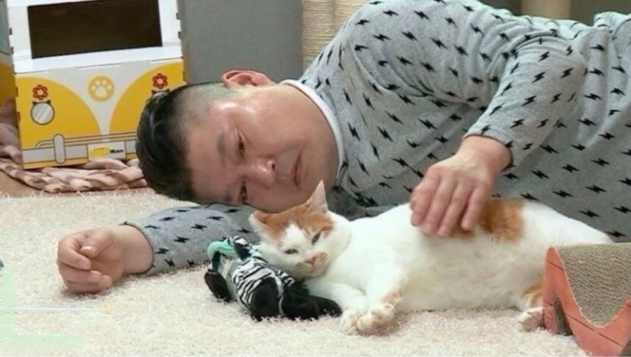 순도 이미지