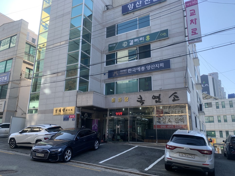 매화담흑염소 이미지
