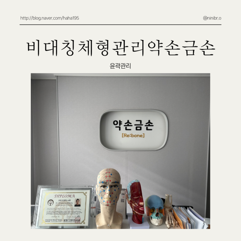 금손체형관리 이미지