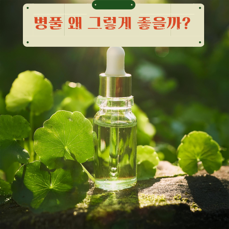 단비농원 이미지