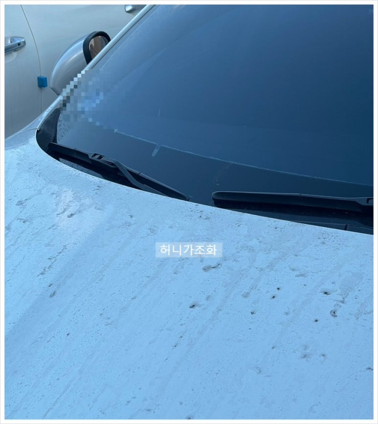 로얄세차 이미지