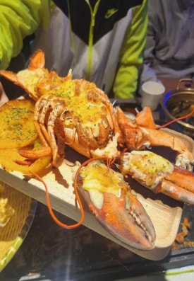 조개걸윷모 이미지