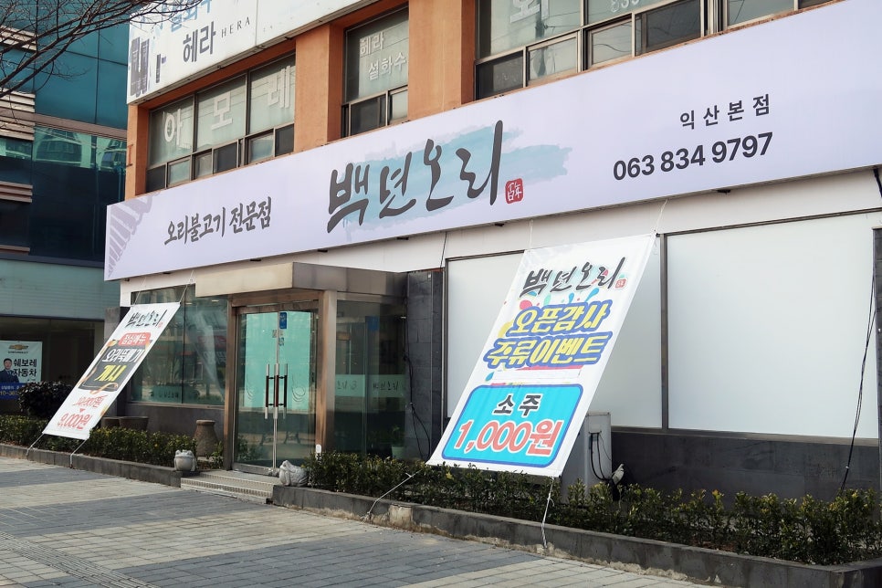 백년오리 이미지