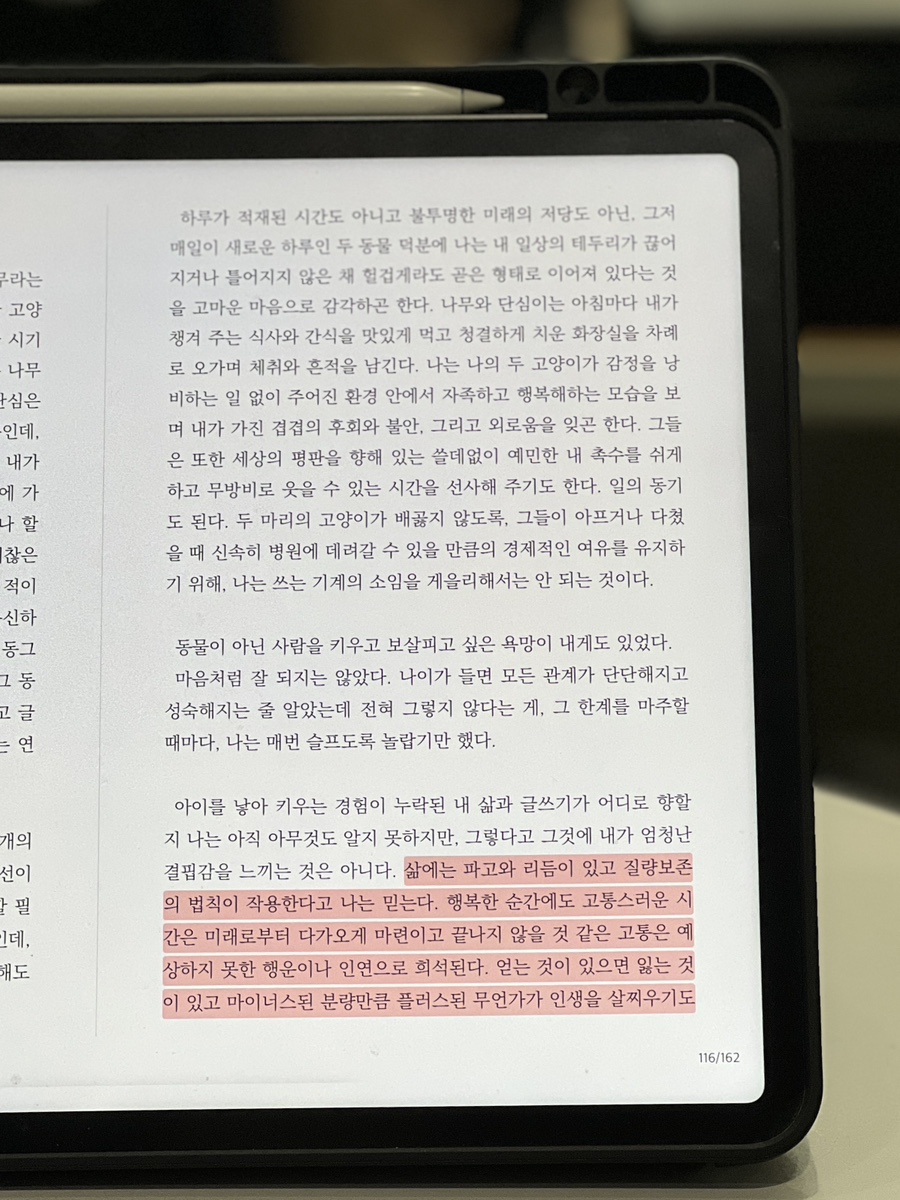 용다방 이미지