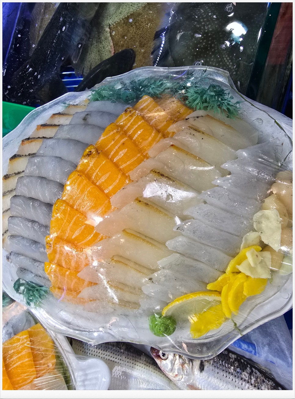 OK수산 이미지