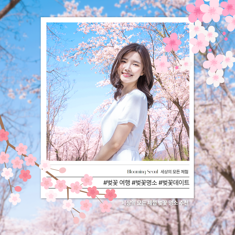 설레는체험세상 이미지