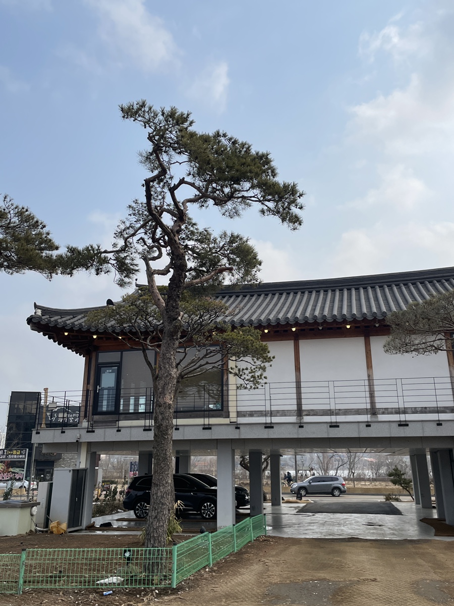 초평가배 이미지