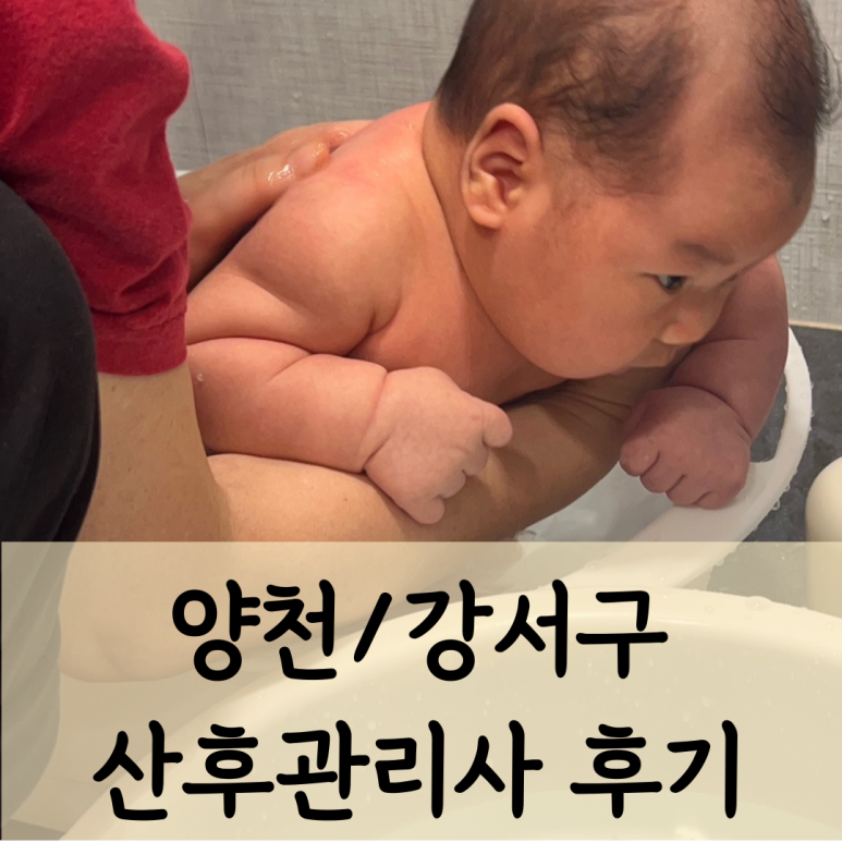 드림가 이미지