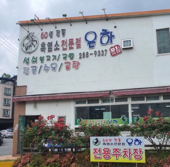 흑염소은하 이미지