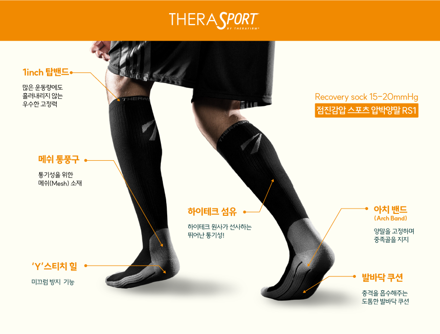 세라스포츠 이미지
