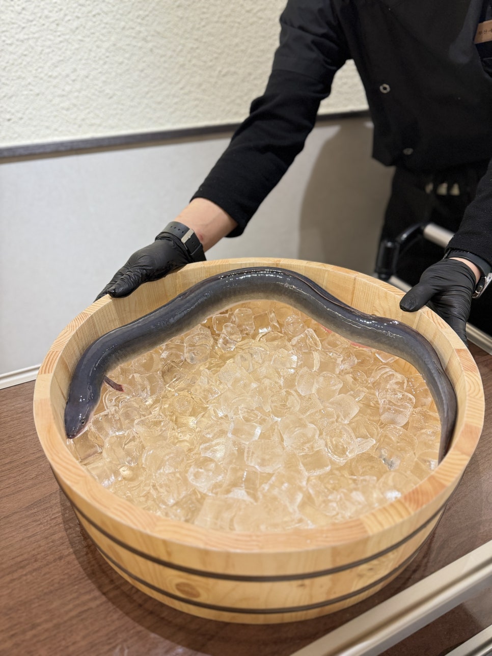 부산에 뜬 장어 이미지