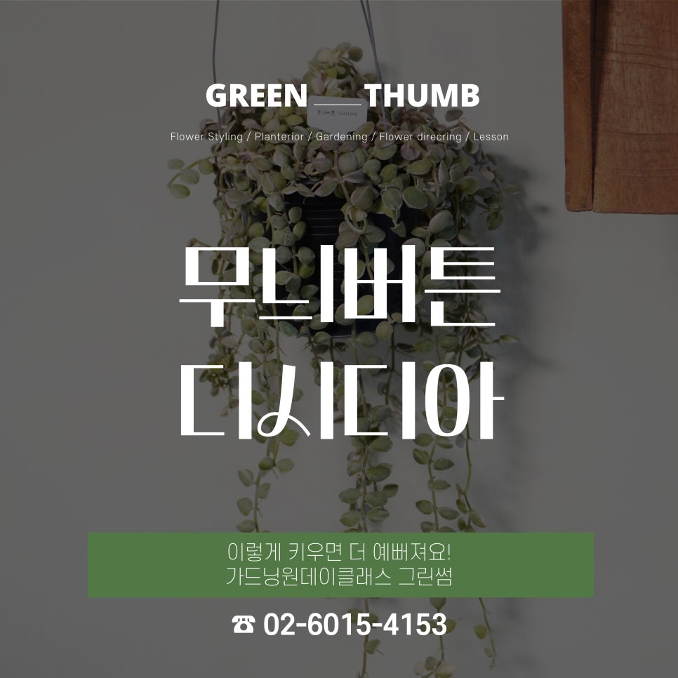 더그린썸 이미지
