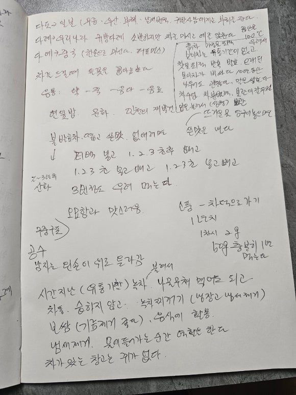 호연나무 이미지