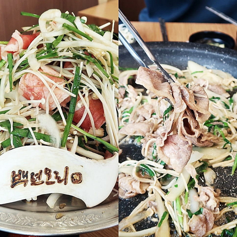 백년오리 이미지