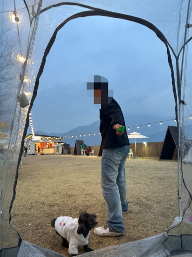 히푸(HIPPU) 이미지