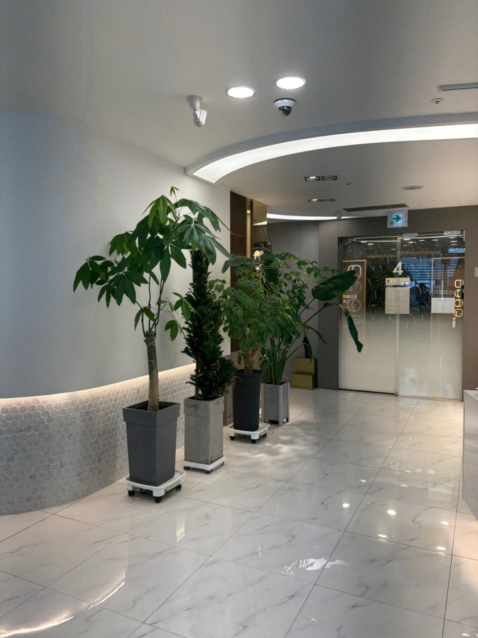 경북대학교 치과대학 이미지