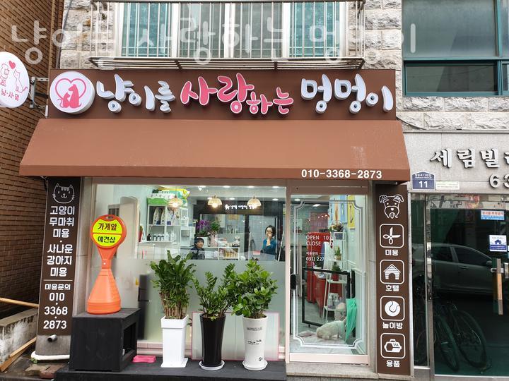 냥이마을 이미지