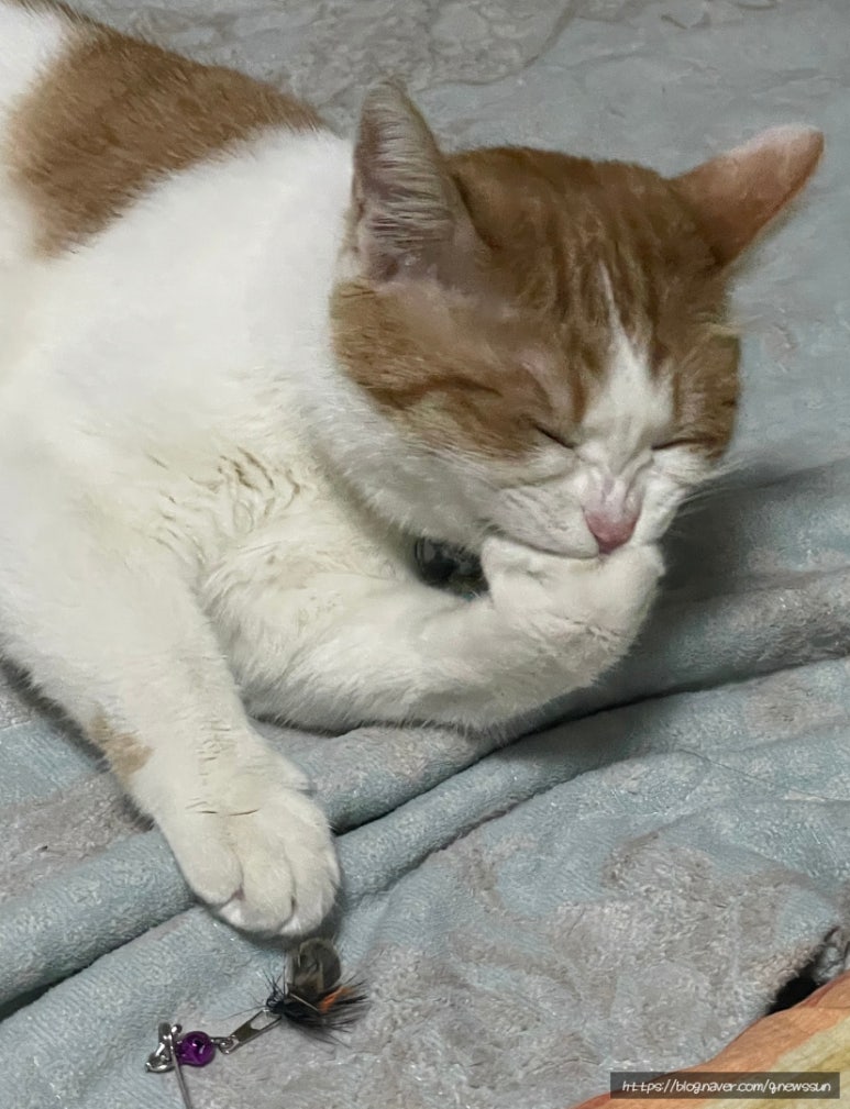 모젤온더테이블 이미지