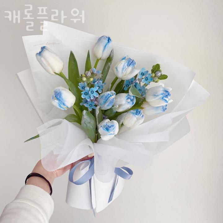 캐롤플라워 이미지