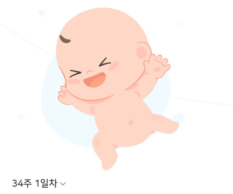 폴인인테리어 이미지