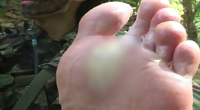청성 이미지