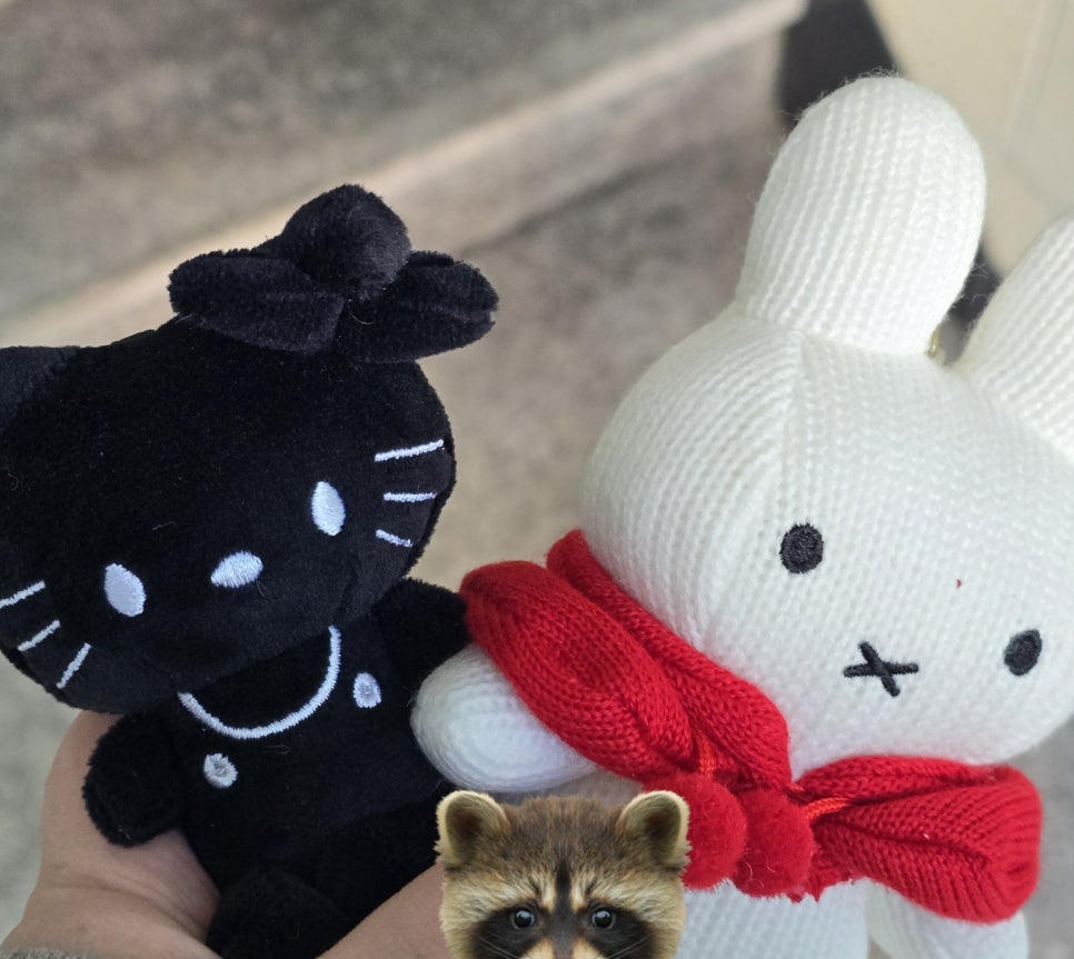 우리동네뽑기방 이미지