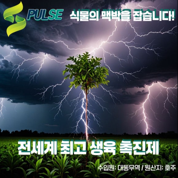 대동무역 이미지