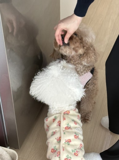 해피모먼트 이미지