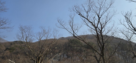 정자나무식당 이미지