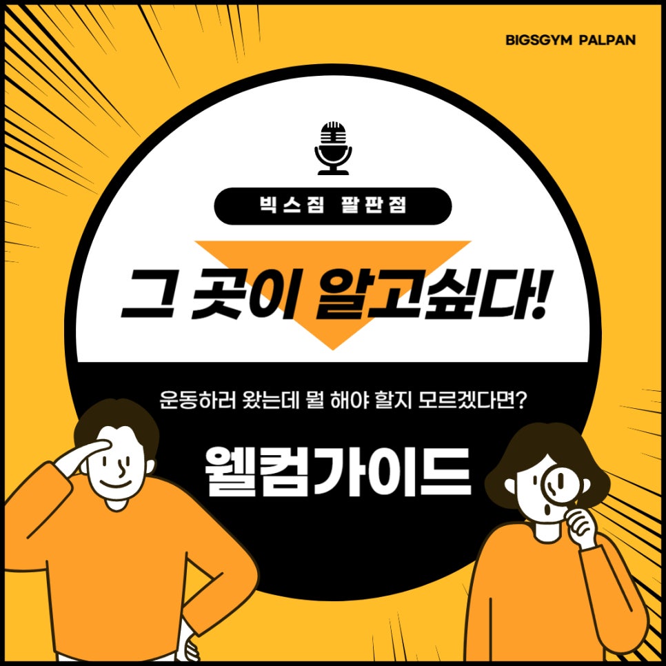 빅스짐팔판 이미지