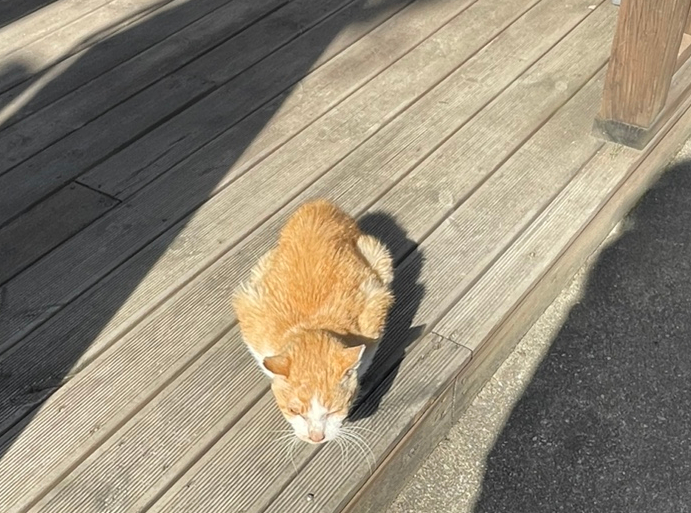 스무살에머물다 이미지