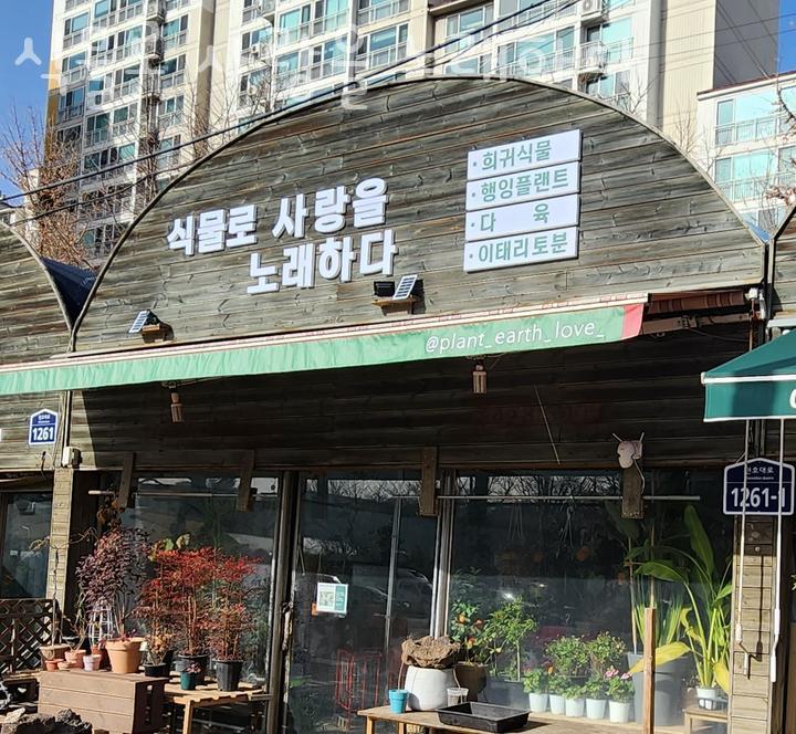 식물로사랑을노래하다 이미지