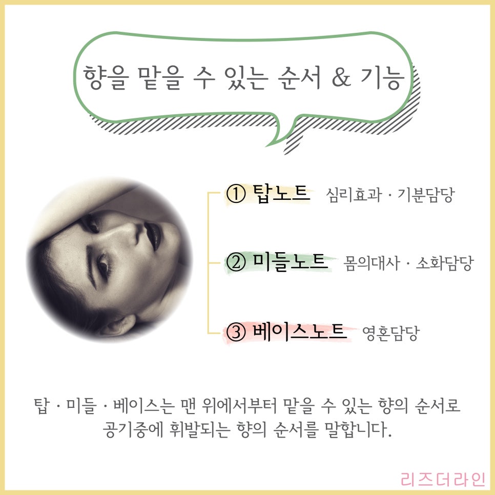 리즈테라피 이미지