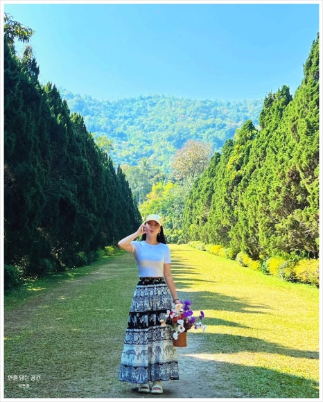카페Rachel 이미지